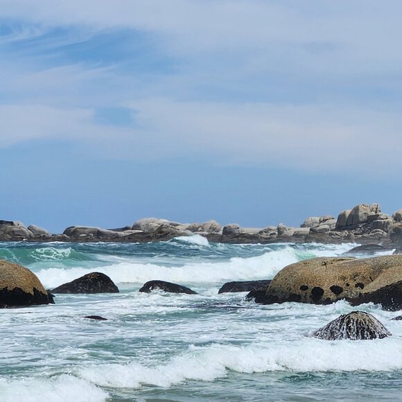 Meet your Posher, The resistance - Picture 1 of 1